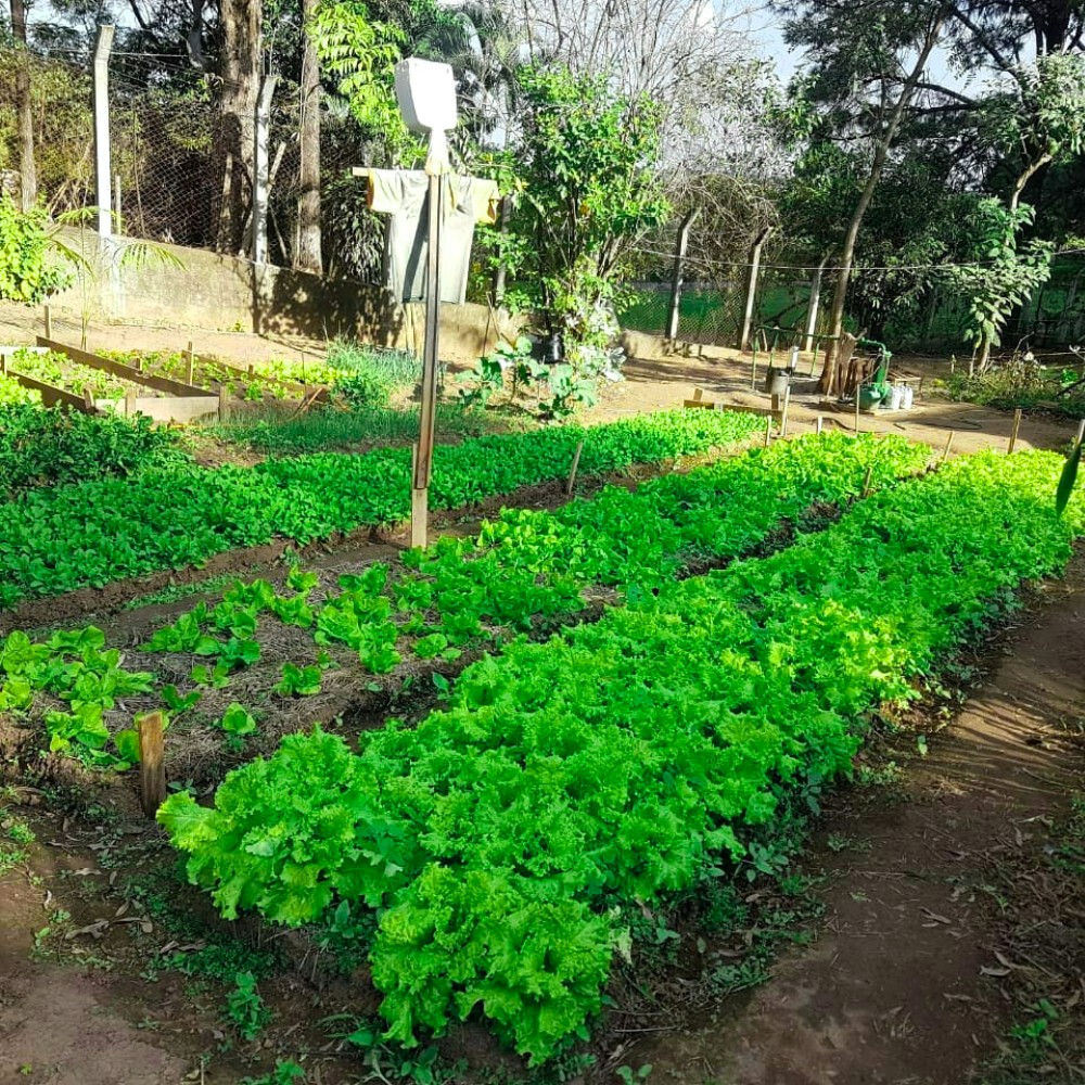 Clínica de Reabilitação em Valinhos
